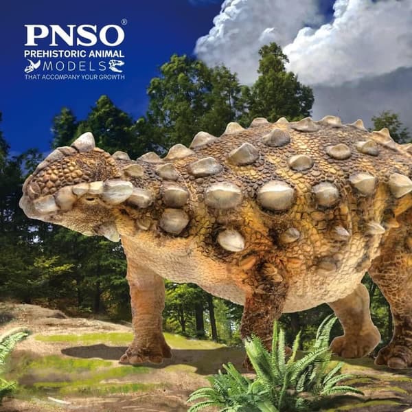 Sede Ankylosaurus Dinosaur Model - 8.3