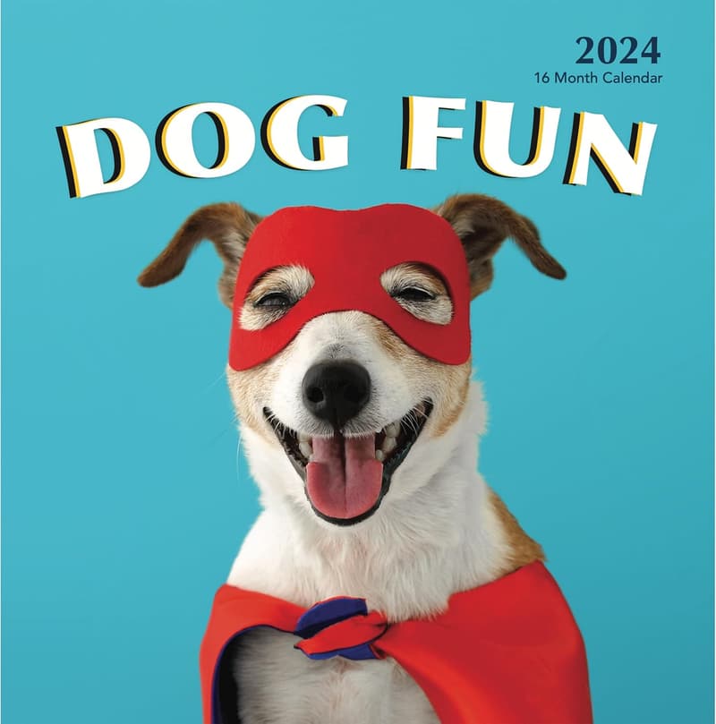 Cute Dog Photography Wall Calendar 2023 - 12 x 24 Inches