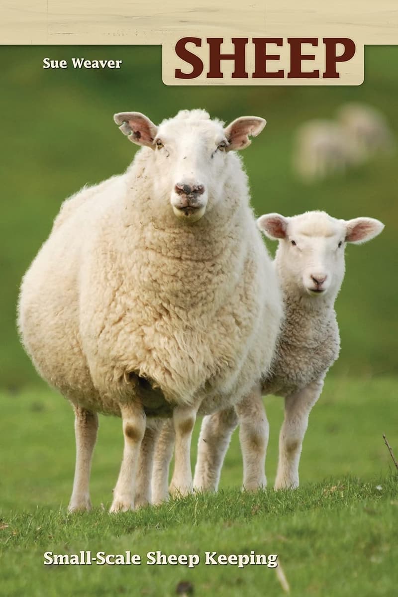 Small Scale Sheep Keeping Guide for Hobby Farms