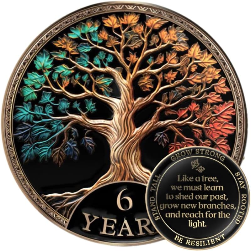 6-Year Sobriety Coin Gift Set | Tree of Life Medallion with Stand & Card