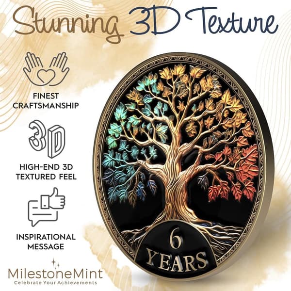 6-Year Sobriety Coin Gift Set | Tree of Life Medallion with Stand & Card