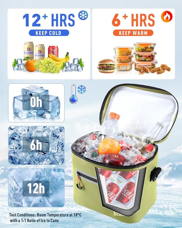 Portable Insulated Cooler Bag, Waterproof for Beach & Picnic