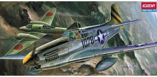 P-51C WWII Fighter Model Kit - Gray