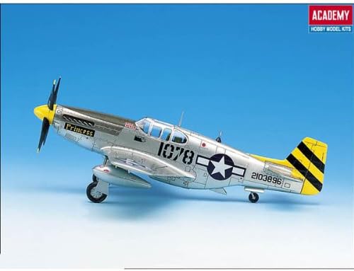P-51C WWII Fighter Model Kit - Gray