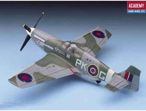 P-51B Mustang Model Aircraft