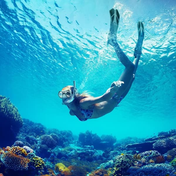Travel Size Snorkeling Kit with Anti-Fog Mask and Fins