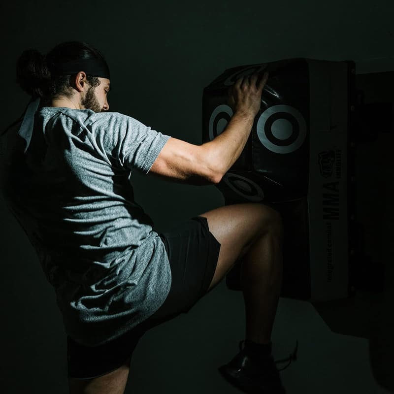 Wall Mount Boxing Target for MMA Training