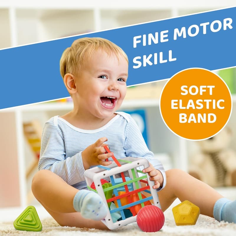 Montessori Shape Sorter Toy Set for 1+ Year Olds