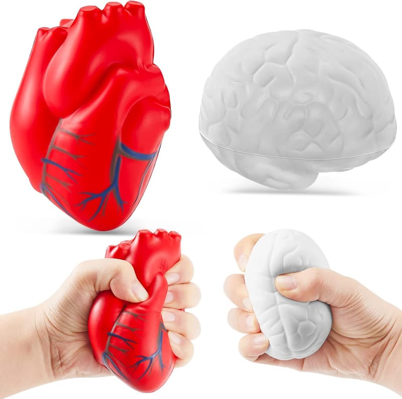 Anatomy Stress Ball Set - Heart & Brain PU Foam, Relief Toys