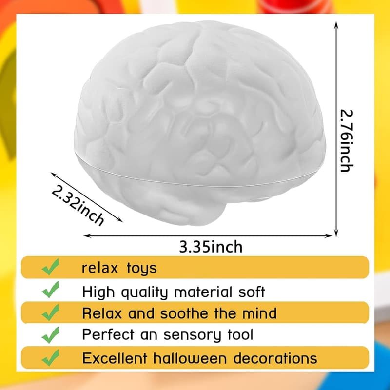 Anatomy Stress Ball Set - Heart & Brain PU Foam, Relief Toys