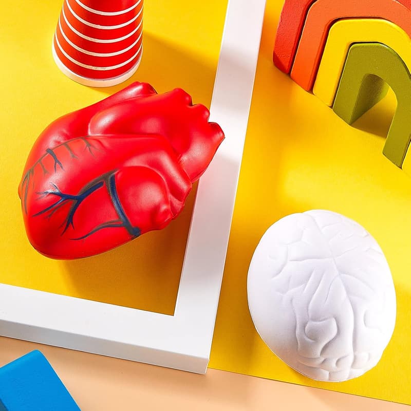 Anatomy Stress Ball Set - Heart & Brain PU Foam, Relief Toys