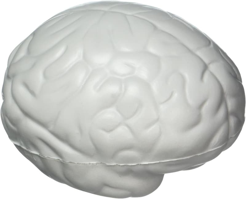 Gray Brain Stress Relief Toy by Ariel