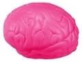 Pink ARIEL Brain Stress Toy