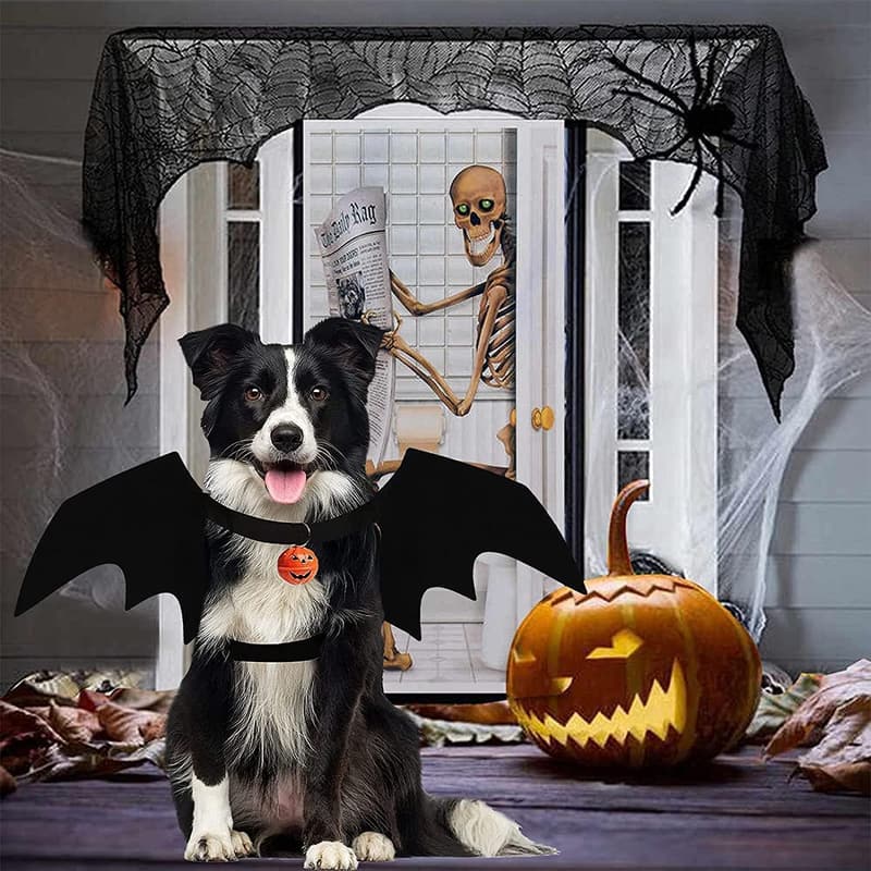 Halloween Dog Bat Wings Costume with Pumpkin Bells for Pets