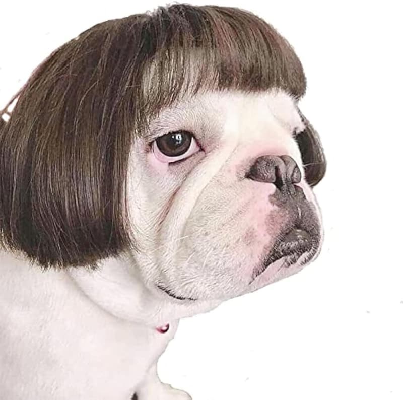 Halloween Pet Wigs for Dogs and Cats - Black Brown Cosplay