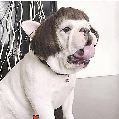 Halloween Pet Wigs for Dogs and Cats - Black Brown Cosplay
