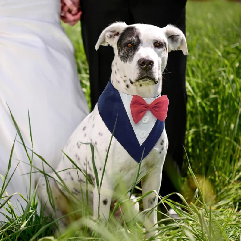 Dog Tuxedo with Bow Tie - Adjustable Formal Pet Outfit