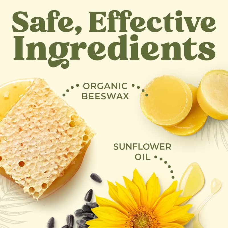 Organic Lip Balm 6-Pack - Fruit Flavors, Beeswax & Coconut Oil