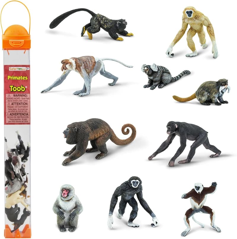 Safari Ltd. Primates TOOB - Educational Monkey Figurines for Kids
