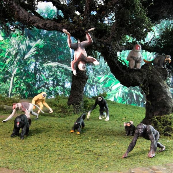 Safari Ltd. Primates TOOB - Educational Monkey Figurines for Kids