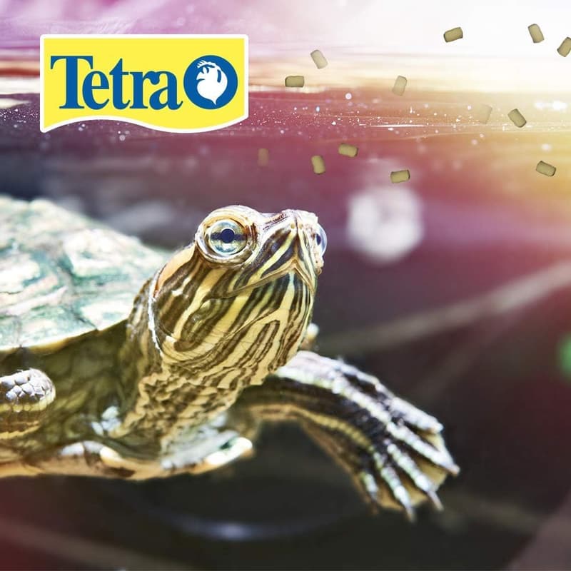 Turtle Health Formula: ReptoMin Pro Sticks & ReptoGuard Conditioner