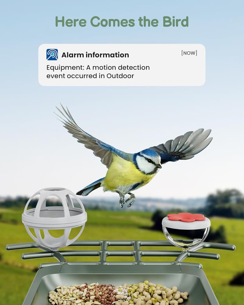 Smart Birdfeeder with Camera - 2K HD Live Video for Garden