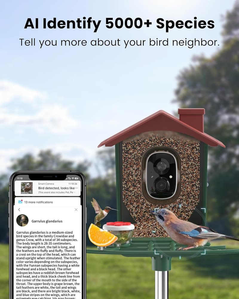 Smart Birdfeeder with Camera - 2K HD Live Video for Garden