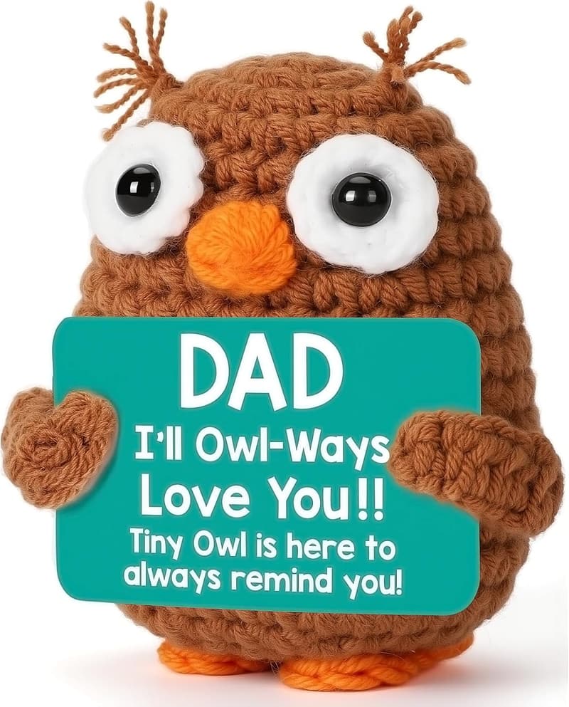 Handmade Crochet Owl for Father's Day Gift