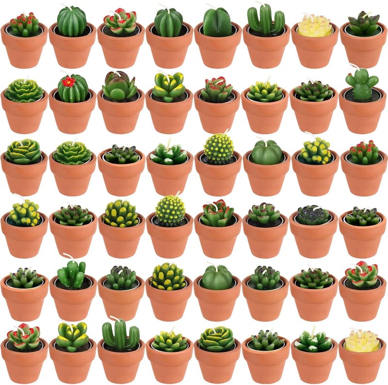 Handmade Succulent Tealight Candles for Baby Shower Party