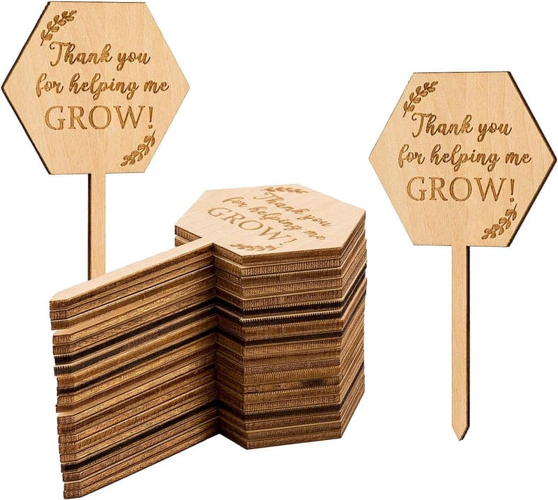 Teacher Appreciation Succulent Tags - 20PCS Hexagon Plant Stakes