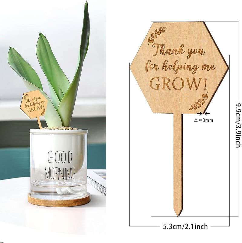 Teacher Appreciation Succulent Tags - 20PCS Hexagon Plant Stakes