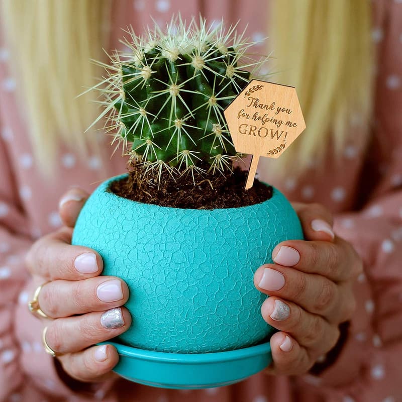Teacher Appreciation Succulent Tags - 20PCS Hexagon Plant Stakes