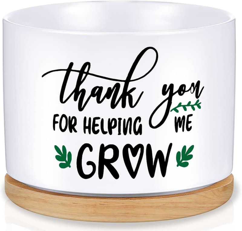 Teacher Appreciation Ceramic Succulent Pot with Bamboo Tray