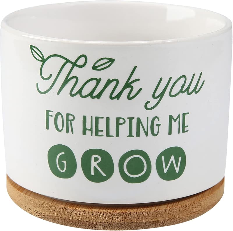 Teacher Appreciation Ceramic Succulent Planter Pot