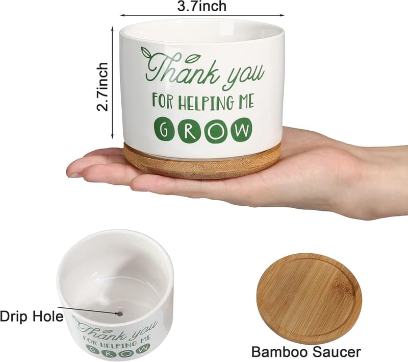 Teacher Appreciation Ceramic Succulent Planter Pot