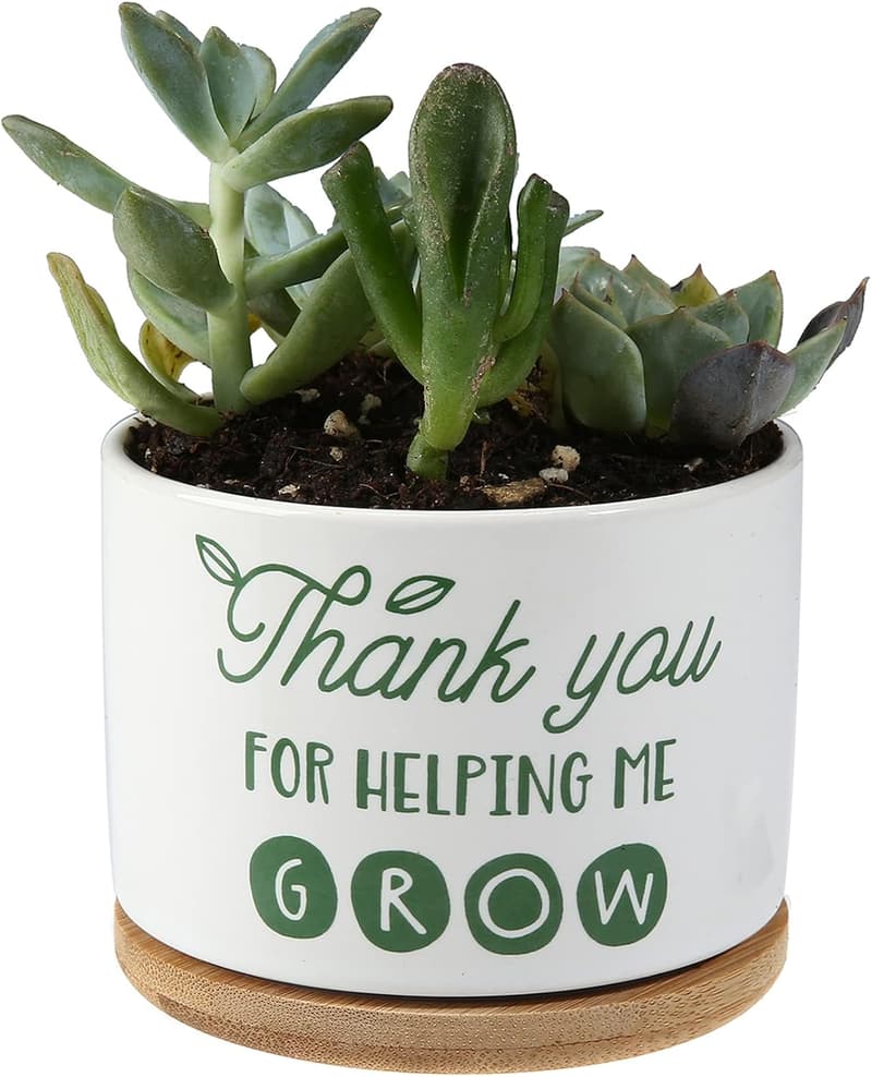 Teacher Appreciation Ceramic Succulent Planter Pot