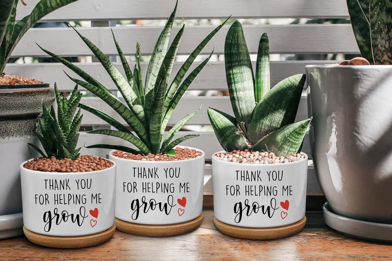 Thank You Ceramic Cactus Planter with Bamboo Saucers