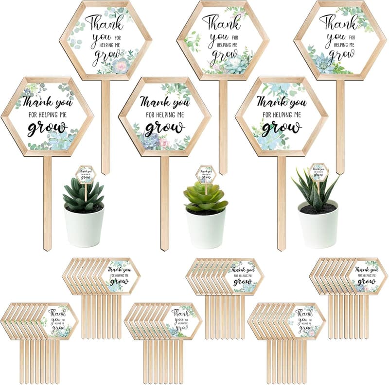 Teacher Appreciation Succulent Tags - 48 Hexagon Wooden Markers