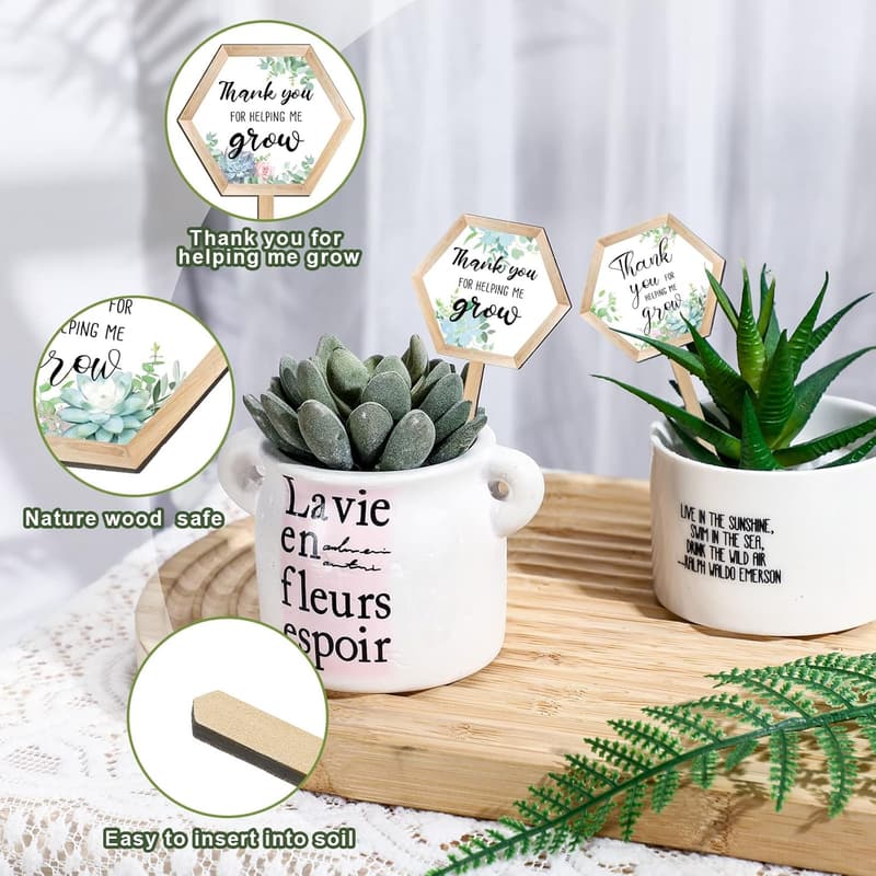 Teacher Appreciation Succulent Tags - 48 Hexagon Wooden Markers