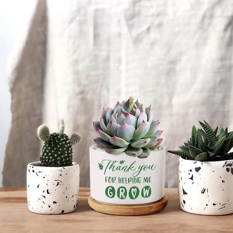 Teacher Appreciation Ceramic Planter with Bamboo Tray - 3.5 inch