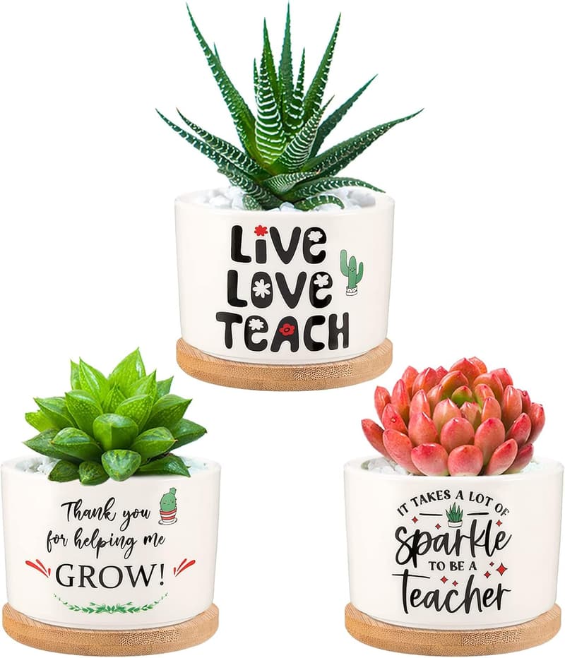 Teacher Appreciation Succulent Planter - Thank You Gift