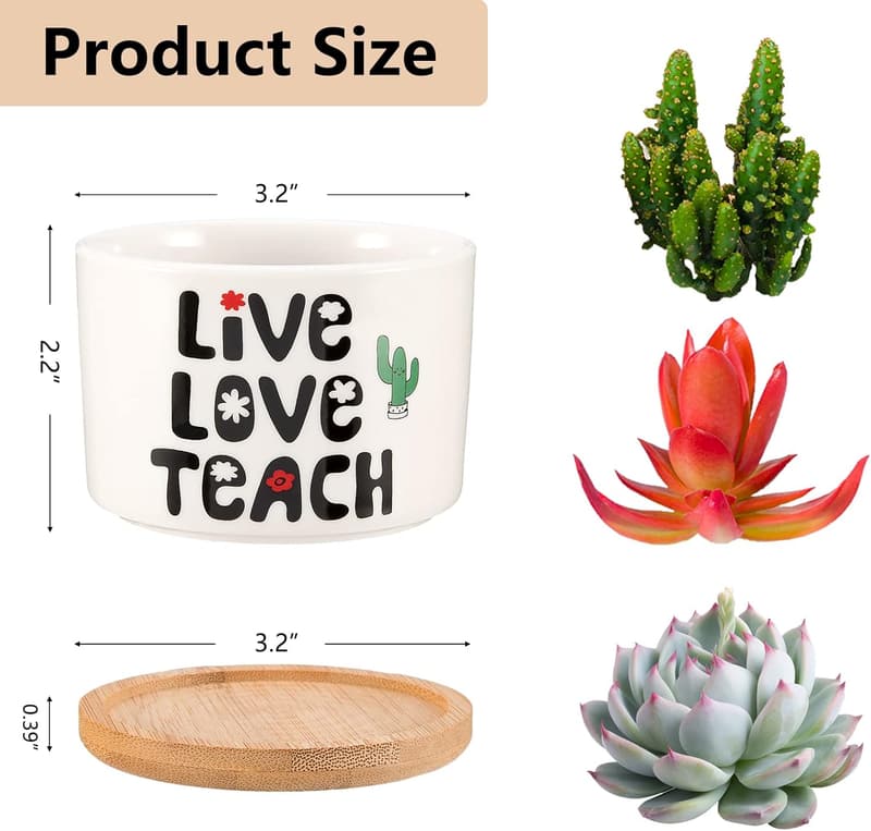 Teacher Appreciation Succulent Planter - Thank You Gift