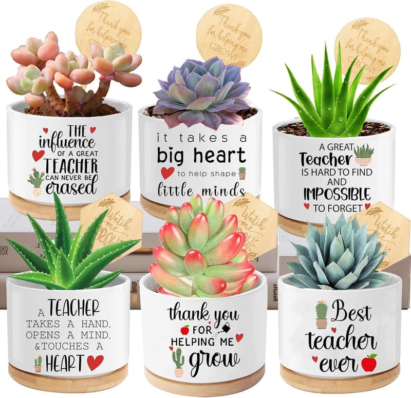 Teacher Appreciation Succulent Pots Set of 6 with Drainage