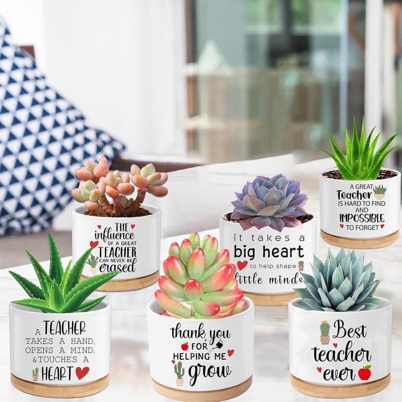 Teacher Appreciation Succulent Pots Set of 6 with Drainage