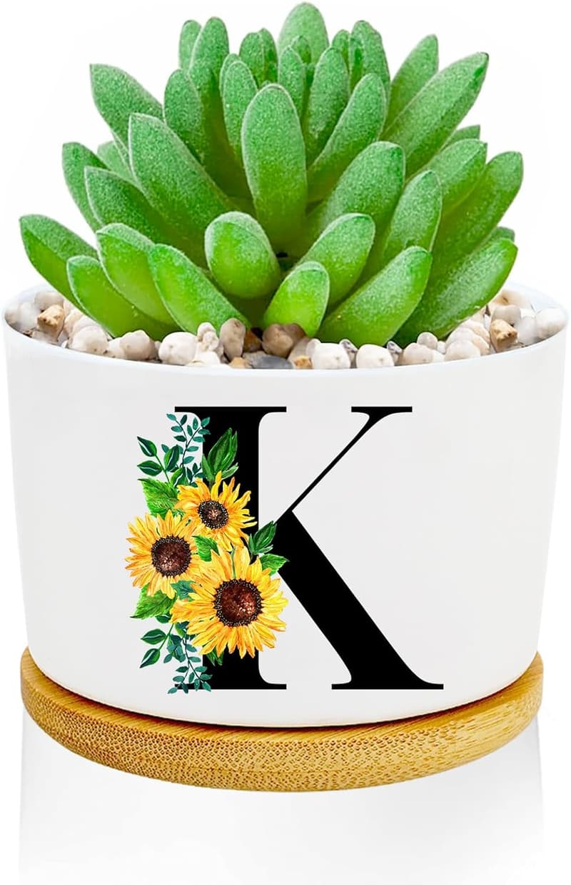 Personalized 3-Inch Ceramic Succulent Pots - Sunflower Gifts for Women