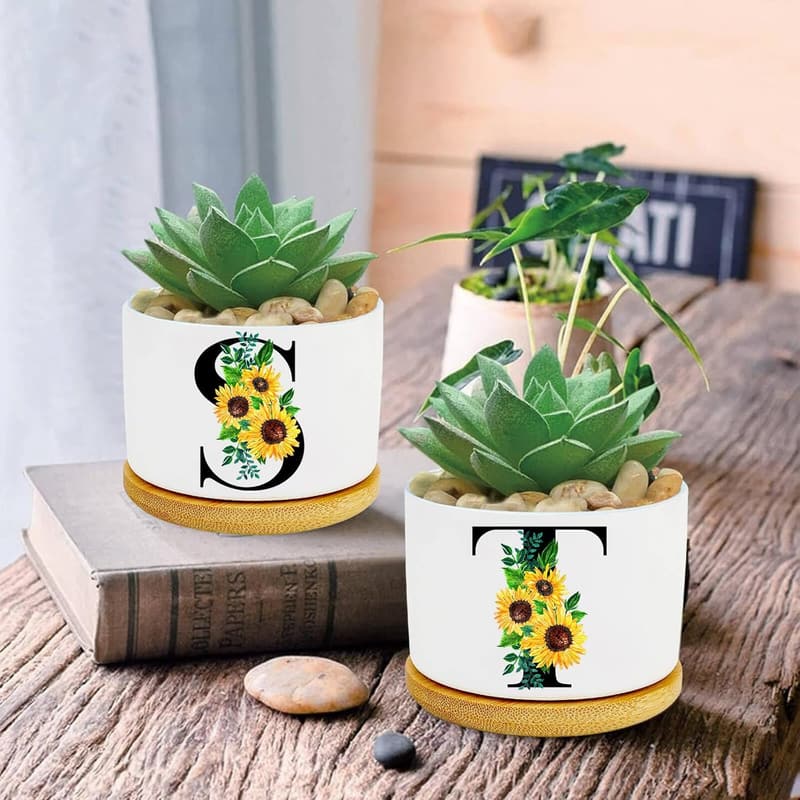 Personalized 3-Inch Ceramic Succulent Pots - Sunflower Gifts for Women
