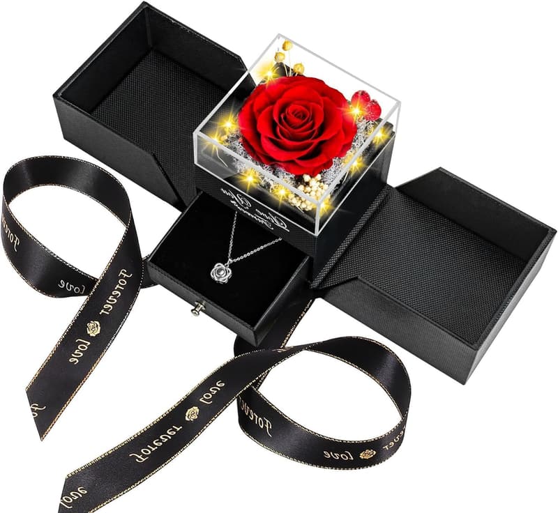 Eternal Love Valentine's Gift: Preserved Rose & Heart Necklace for Her