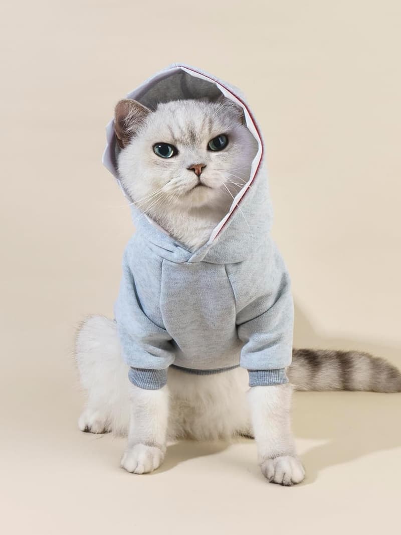 Christmas Shark Dog Hoodie for Small-Medium Pets - Warm Jacket