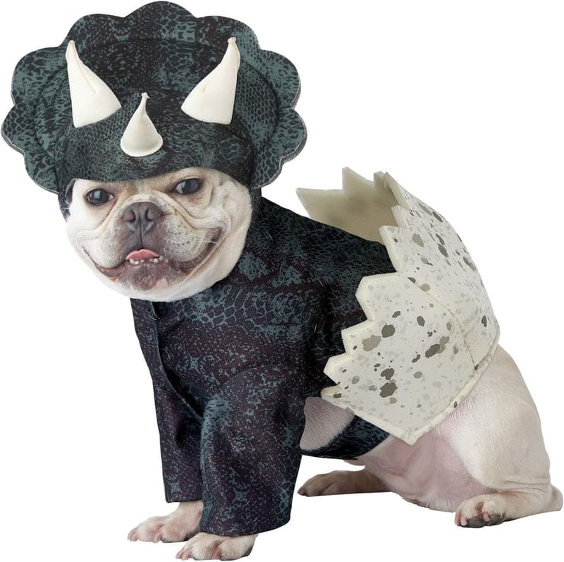Large Dinosaur Dog Costume