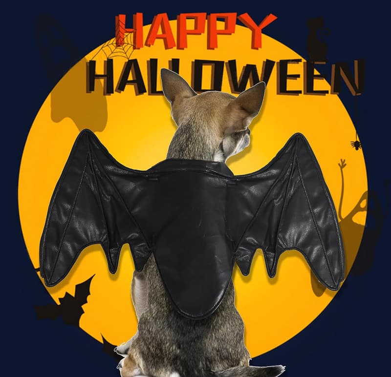 Halloween Bat Wing Costume for Dogs, Black, Size M